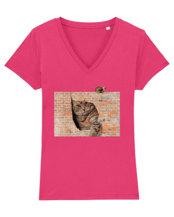 Cats on walls  Raspberry
