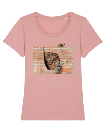 Cats on walls  Canyon Pink