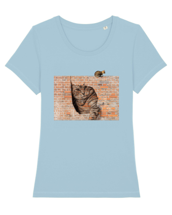 Cats on walls  Sky Blue