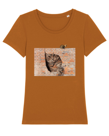 Cats on walls  Roasted Orange