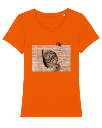 Cats on walls  Bright Orange