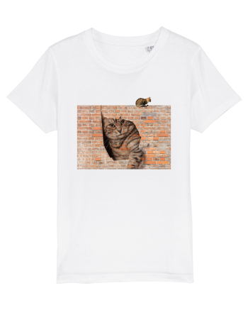 Cats on walls  White
