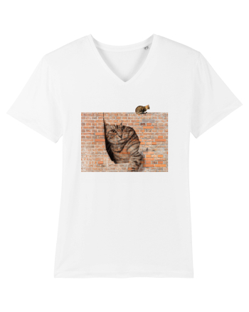 Cats on walls  White