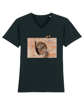 Cats on walls  Black
