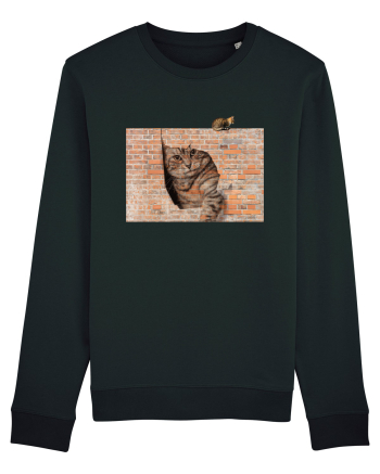 Cats on walls  Black