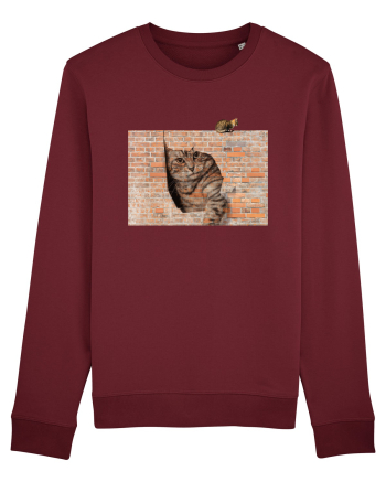 Cats on walls  Burgundy