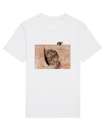 Cats on walls  White