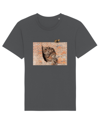 Cats on walls  Anthracite