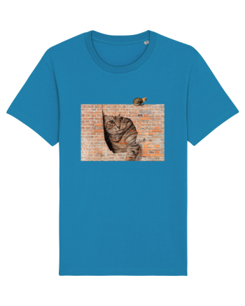 Cats on walls  Azur