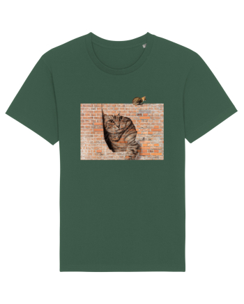 Cats on walls  Bottle Green