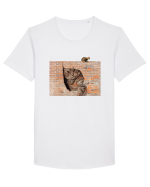 Cats on walls  Tricou mânecă scurtă guler larg Bărbat Skater