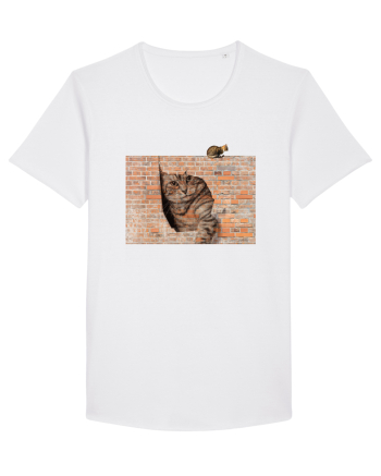 Cats on walls  White