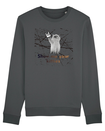 Show me your kitties Anthracite