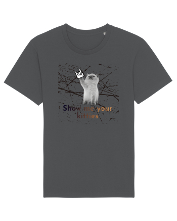 Show me your kitties Anthracite