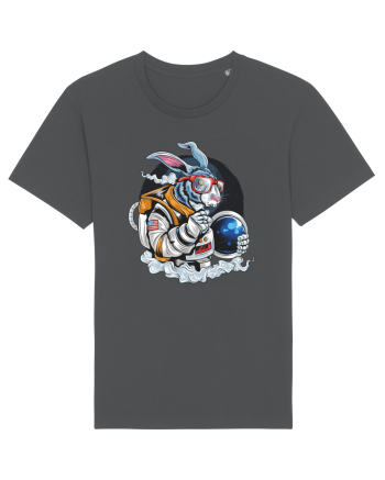 Astronaut Rabbit Anthracite