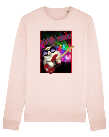 Pisica Rock And Roll Candy Pink