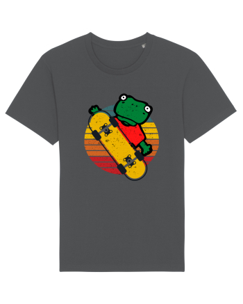 Broasca Pe Skateboard Anthracite