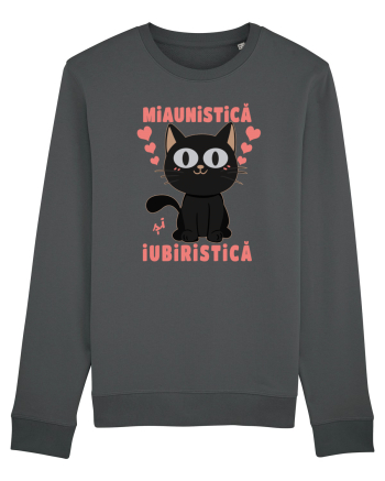 Pisica Miaunistica Iubiristica Anthracite