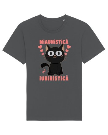 Pisica Miaunistica Iubiristica Anthracite