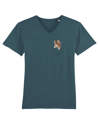 Pocket kitten 2  Stargazer