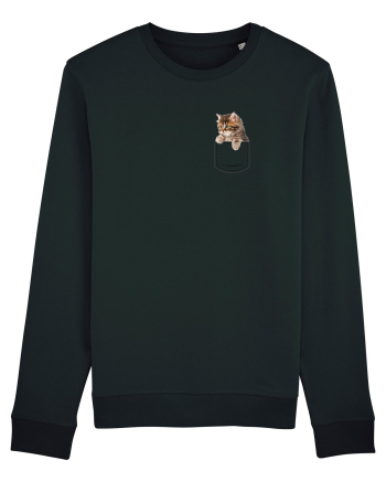 Pocket kitten 2  Black
