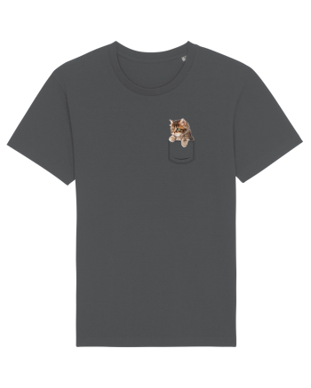 Pocket kitten 2  Anthracite