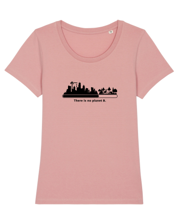 There is no planet B Canyon Pink