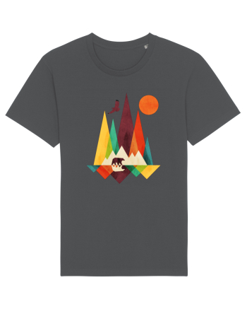 Mountains Anthracite