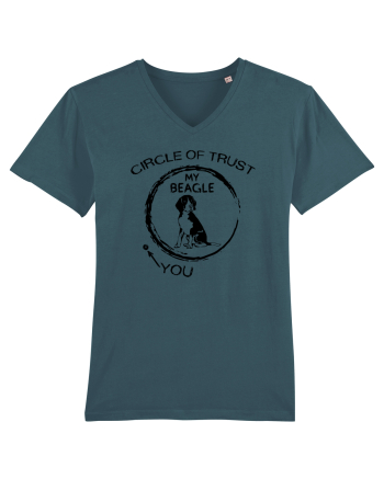 Beagle Stargazer