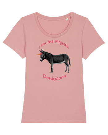 A Donkicorn Canyon Pink