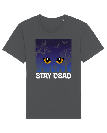 Stay Dead Anthracite
