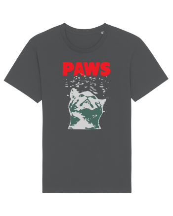 PAWS CAT Anthracite