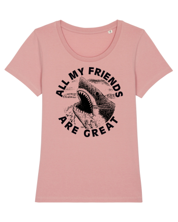 All my friends are great Canyon Pink
