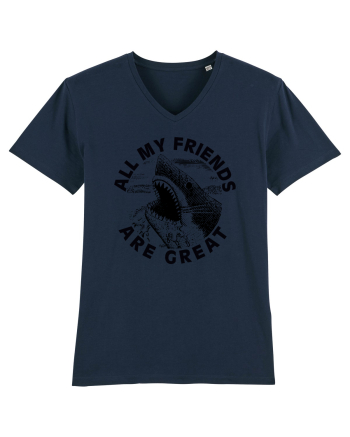 All my friends are great French Navy