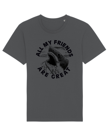 All my friends are great Anthracite