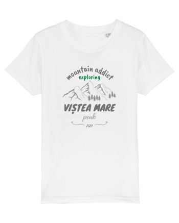Mountain Addict Viștea Mare Peak White