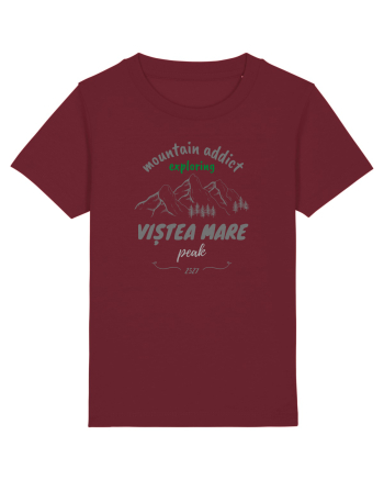 Mountain Addict Viștea Mare Peak Burgundy