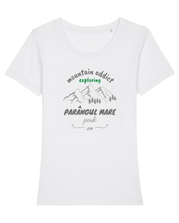 Mountain Addict Parângul Mare Peak White