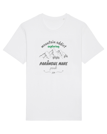 Mountain Addict Parângul Mare Peak White