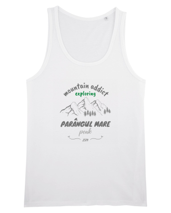 Mountain Addict Parângul Mare Peak White