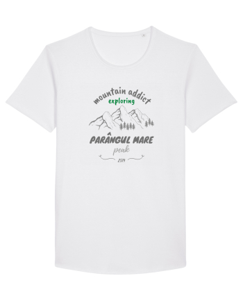 Mountain Addict Parângul Mare Peak White