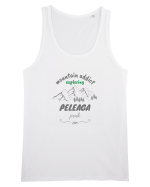 Mountain Addict Peleaga Peak Maiou Bărbat Runs