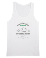 Mountain Addict Pietrosul Rodnei Peak Maiou Bărbat Runs