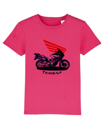 Transalp Raspberry