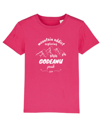 Mountain Addict Godeanu Peak (Vârful Godeanu)  Raspberry