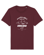 Mountain Addict Godeanu Peak (Vârful Godeanu)  Tricou mânecă scurtă Unisex Rocker