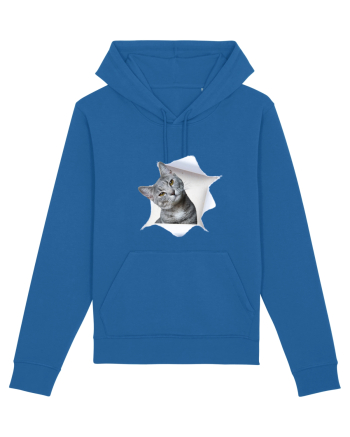 Cat in a bag Royal Blue