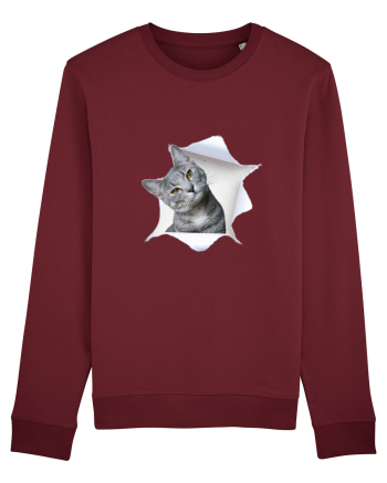 Cat in a bag Burgundy