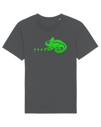 Cameleon Anthracite