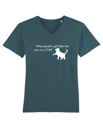 Love  of a Cat Stargazer